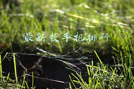 新款手机哪款好用(2022年换新手机，懂行人建议一步到位，这3款手机性能配置极佳)