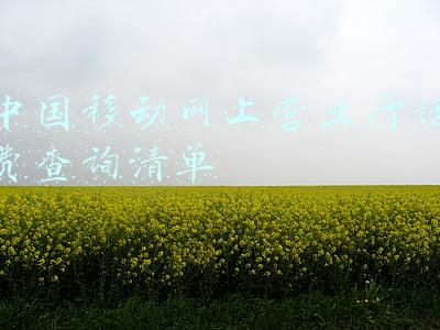 中国移动网上营业厅话费查询清单