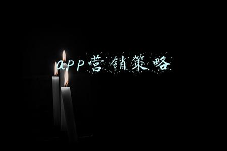app营销策略