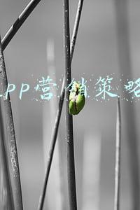 app营销策略