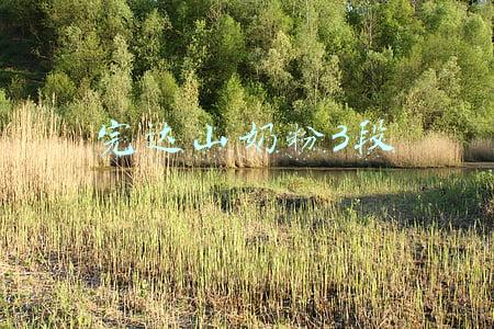 完达山奶粉3段