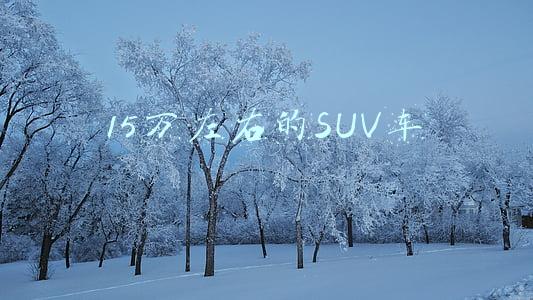 15万左右的SUV车