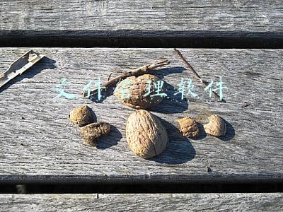 档案管理软件有哪些(员工档案管理软件可以在什么行业中使用呢？)