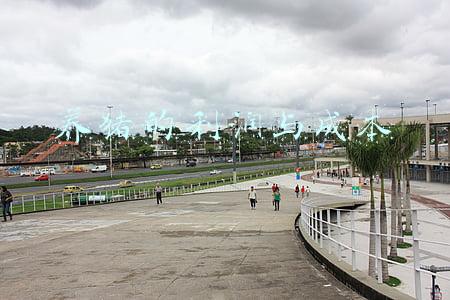 养猪的利润与成本