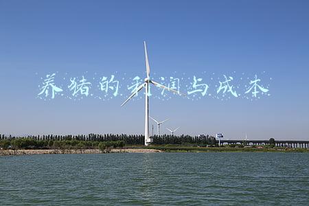 养猪的利润与成本