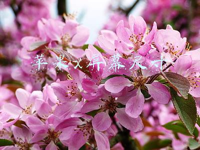 苹果13(iPhone 13 首发评测：变强了，还更亲民了？)