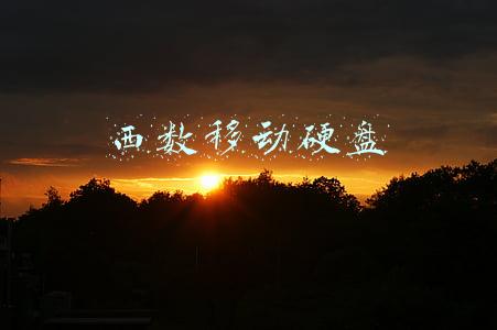 西数移动硬盘焊死usb口破解(移动固态硬盘届的防盗门？顶级黑客也无法轻易破解，金融男：急需)