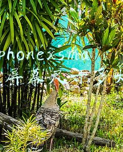 iphone13屏幕尺寸多大(iPhone13更窄！小米12尺寸公布：屏幕6.28英寸/宽69.9mm)