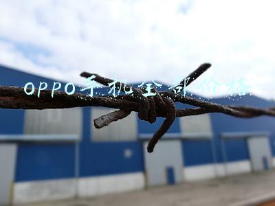 oppo手机全部价格新款(每款都是旗舰级！OPPO多款新品来袭，这不比苹果全家桶香？)