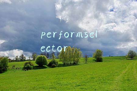 performselector