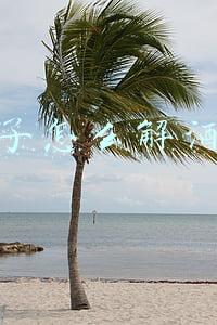 喝醉了怎么解酒最快 喝醉了怎么解酒最快