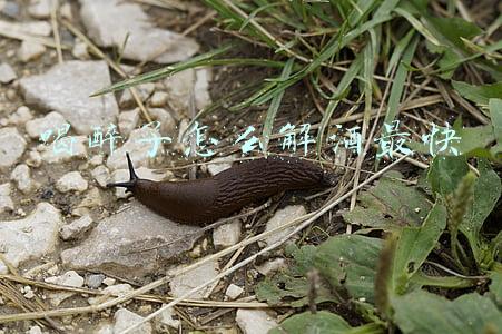 喝醉了怎么解酒最快