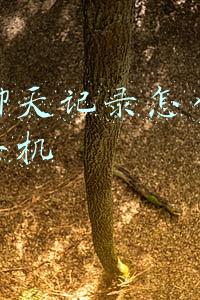 微信聊天记录怎么转移到新手机