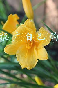 如何推广自己的网站