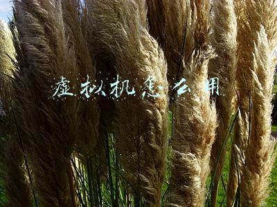 虚拟机怎么用显卡(NVIDIA正式启用GeForce显卡的GPU虚拟机直通功能)