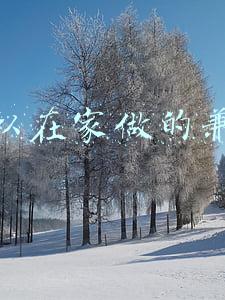 可以在家做的兼职