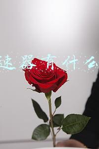 游戏加速器有什么用(4款PC免费网游加速器)