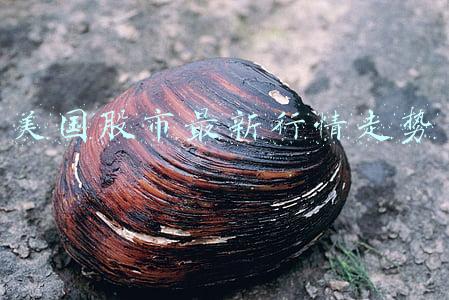 美国股市最新行情走势新行情收盘厂(美股收盘：俄军撤兵提振市场情绪 三大指数均涨超1% 纳指大涨2.5%)