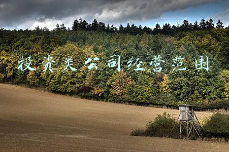 投资类公司经营范围怎么写(新东方投资成立布局未来科技公司 经营范围含集成电路制造)