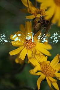 投资类公司经营范围