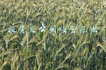 投资类公司经营范围