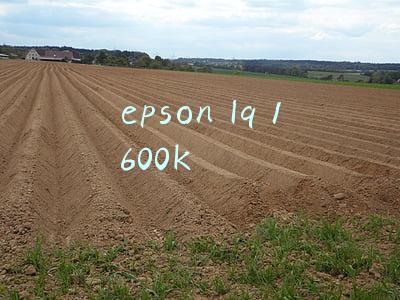 epson lq 1600k