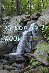epson lq 1600k