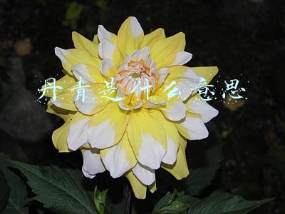西蜀丹青不为采的丹青是什么意思(《古文观止》第九课：《谏逐客书》)