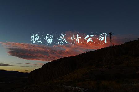 挽留感情公司