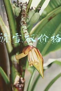 滑雪板价格怎么那么贵(这个冬天滑雪市场有点热 专家：产业结构亟待优化)