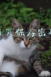 网页保存密码
