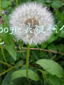 优化关键词优化(亚马逊优化listing的title和关键词究竟怎么优化？能否来些干货？)