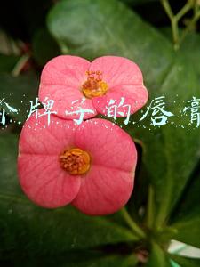 哪个牌子的唇膏好不掉色(口红掉色沾杯太尴尬？分享5款持久不掉色的口红，一整天不掉色)