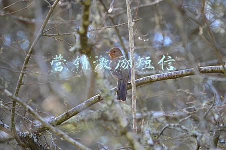 营销激励语(30个公式囊括销售薪酬设计问题，68页销售团队薪酬激励设计与实施)