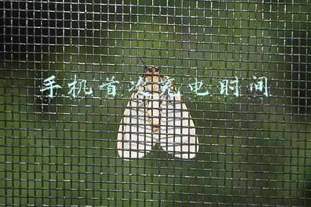 手机首次充电时间