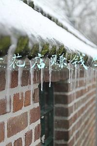 2022年开花店赚钱吗(盘点年宵季，展望“情人节”，花店业这两大趋势愈加明显)
