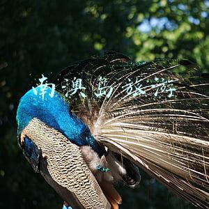 南澳岛旅游最佳季节(南澳岛，快带上你的另一半，来看一场绝美的海岛日落吧)