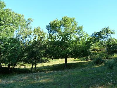 南澳岛旅游景点地图(自驾南澳岛青澳湾，有这一篇攻略足够（附地图导航，景点玩法）)