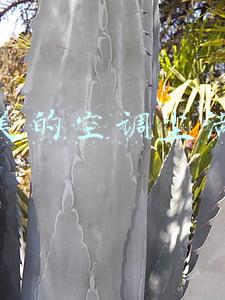 美的空调尘满灯亮怎么消除(美的空调尘满指示灯亮怎么处理？)