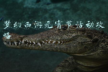 梦幻西游元旦节活动(梦幻西游：元旦活动最新攻略出炉 想要刷成就千万不要错过)