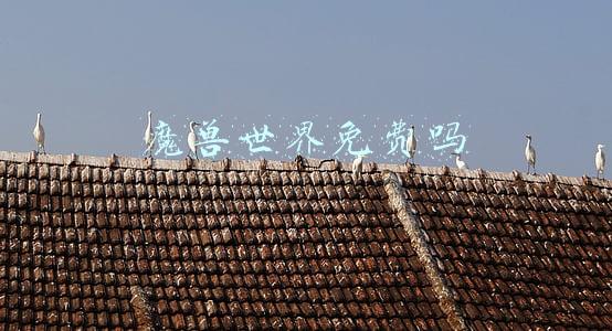 rp魔兽世界免费吗(暴雪致歉后续，魔兽怀旧服将开启47组服务器免费角色转移)