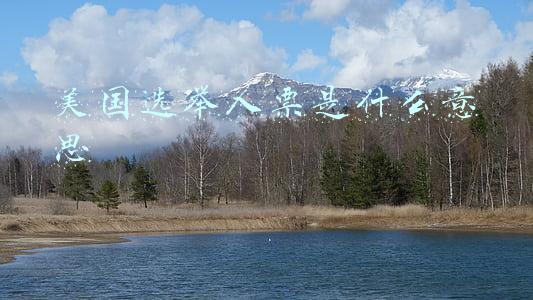美国选举人票是什么意思