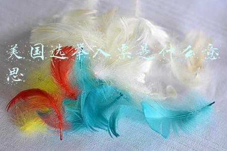 美国选举人票是什么意思
