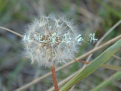 耗电量怎么算电费(拉闸限电不用怕，阶梯方式算电价)