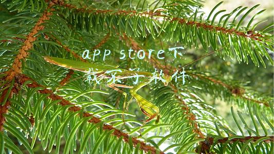 苹果app store下载不了软件(iPhone可下载未注册应用，小黄游、流氓App要来了？)