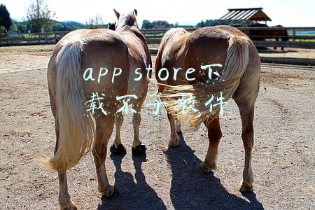 app store下载不了软件