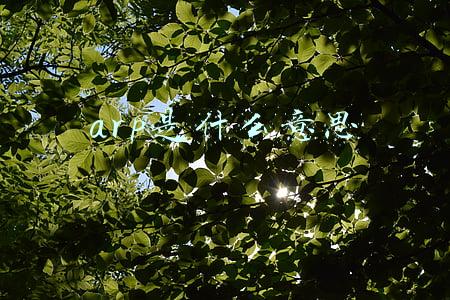 carp是什么意思(数学加英语的希腊语常用字助孩子飞往科技殿堂：有机化学)