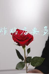 加盟炸鸡店要多少钱