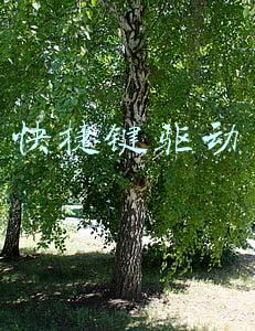 快捷键驱动