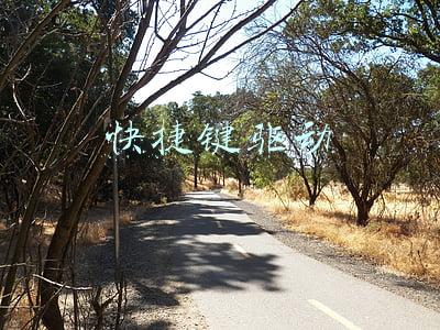 快捷键驱动